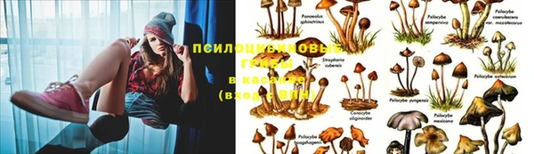 тгк Аркадак