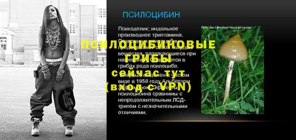 прущая мука Арсеньев
