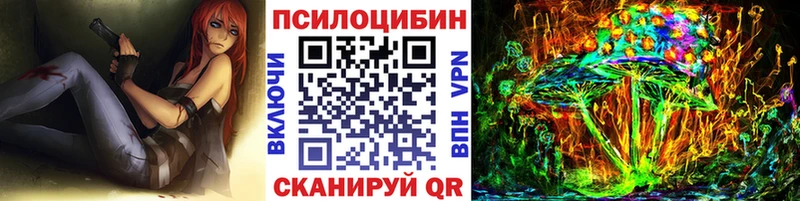 где купить наркоту  Углегорск  Галлюциногенные грибы Psilocybe 